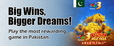 پاکستان کے بہترین گیمنگ تجربے